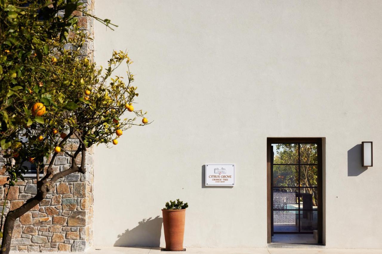 Citrus Grove Luxury Villas Скалета Экстерьер фото